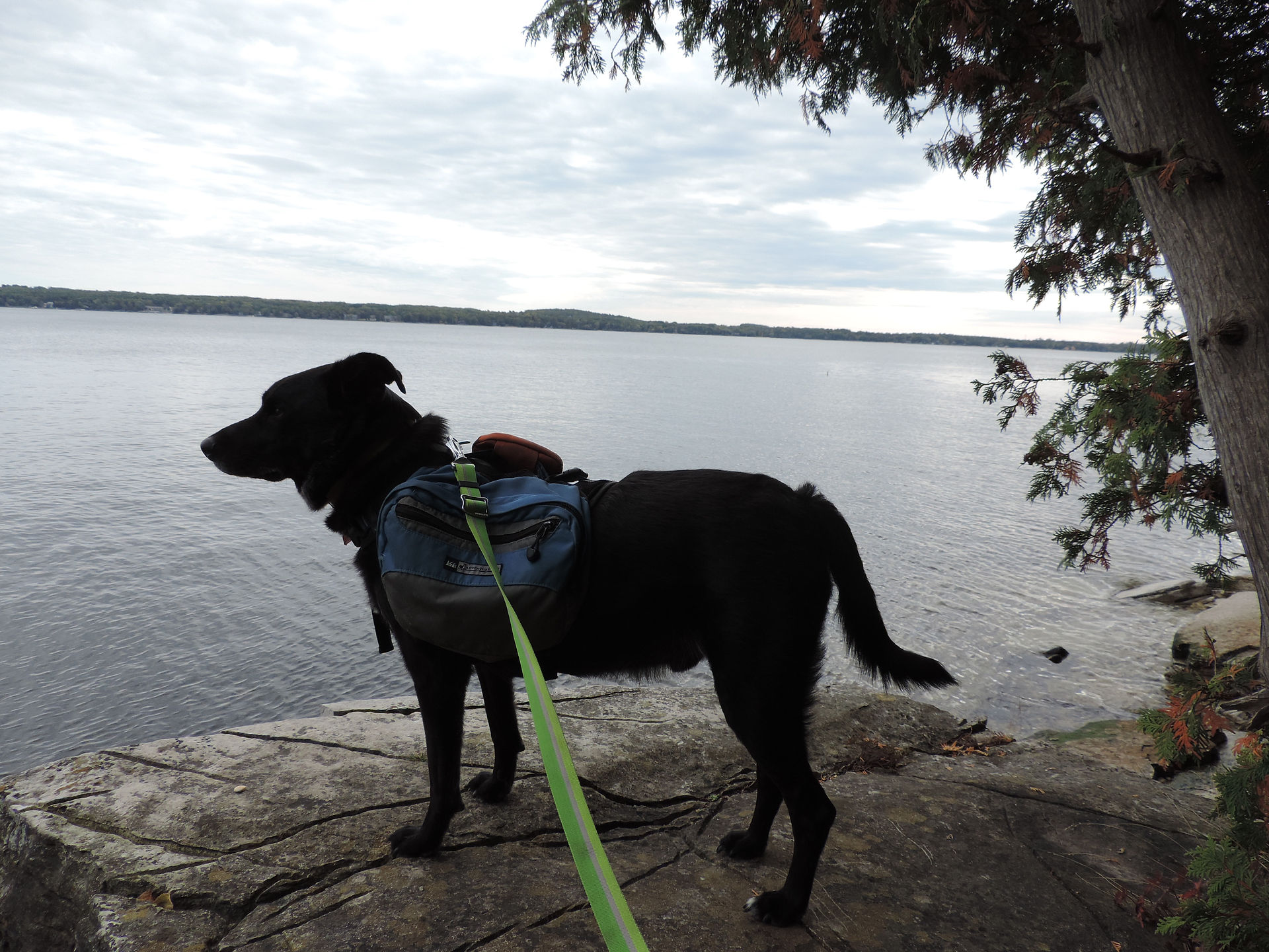 Rocky spot along the lake