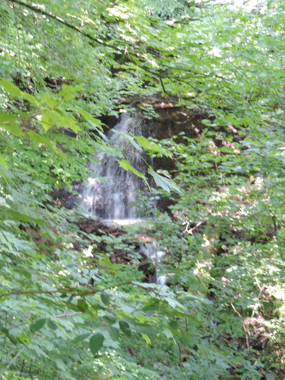 Silverbrook Falls