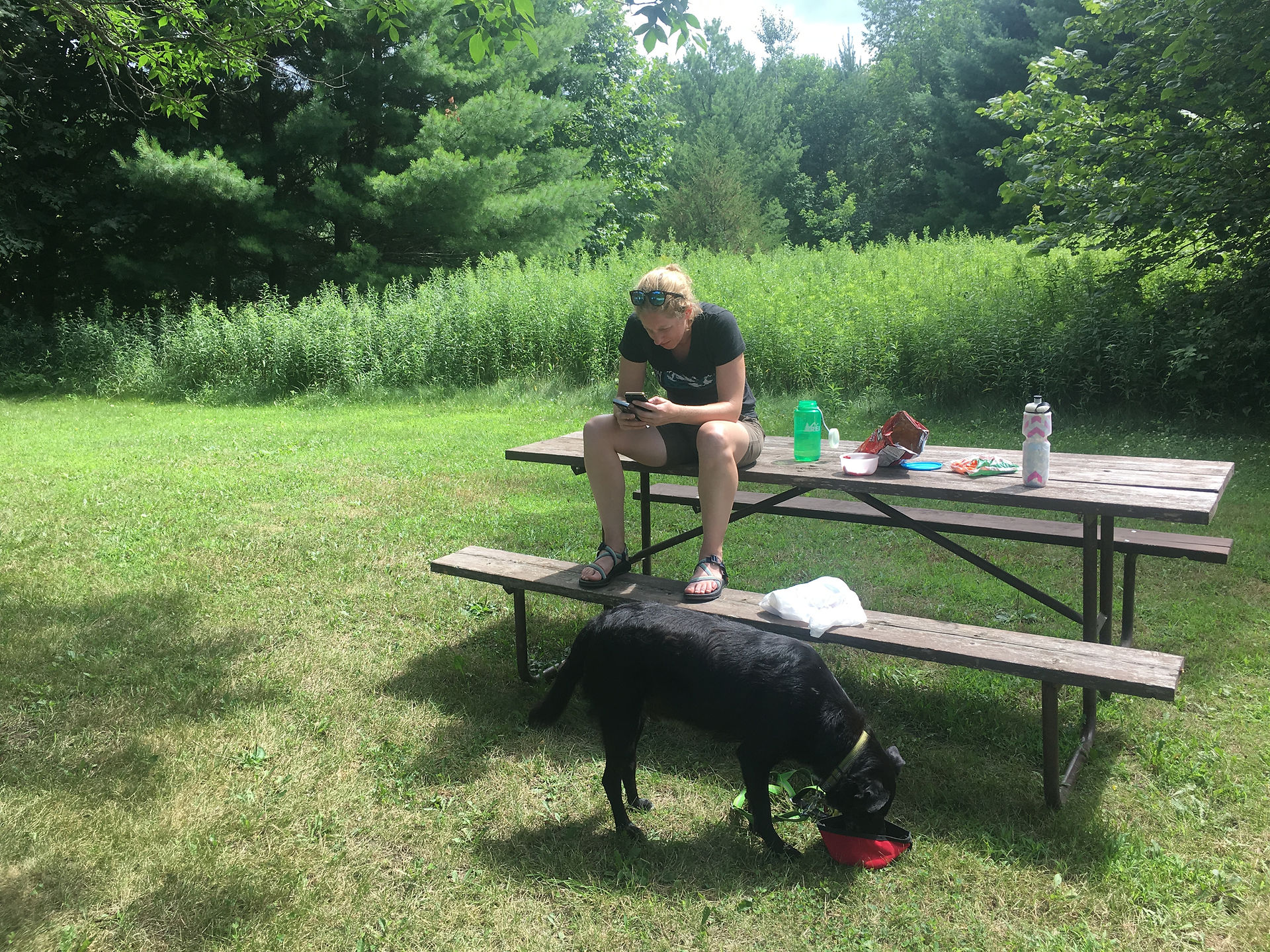 Pet Picnic Area at Kinnickinnic