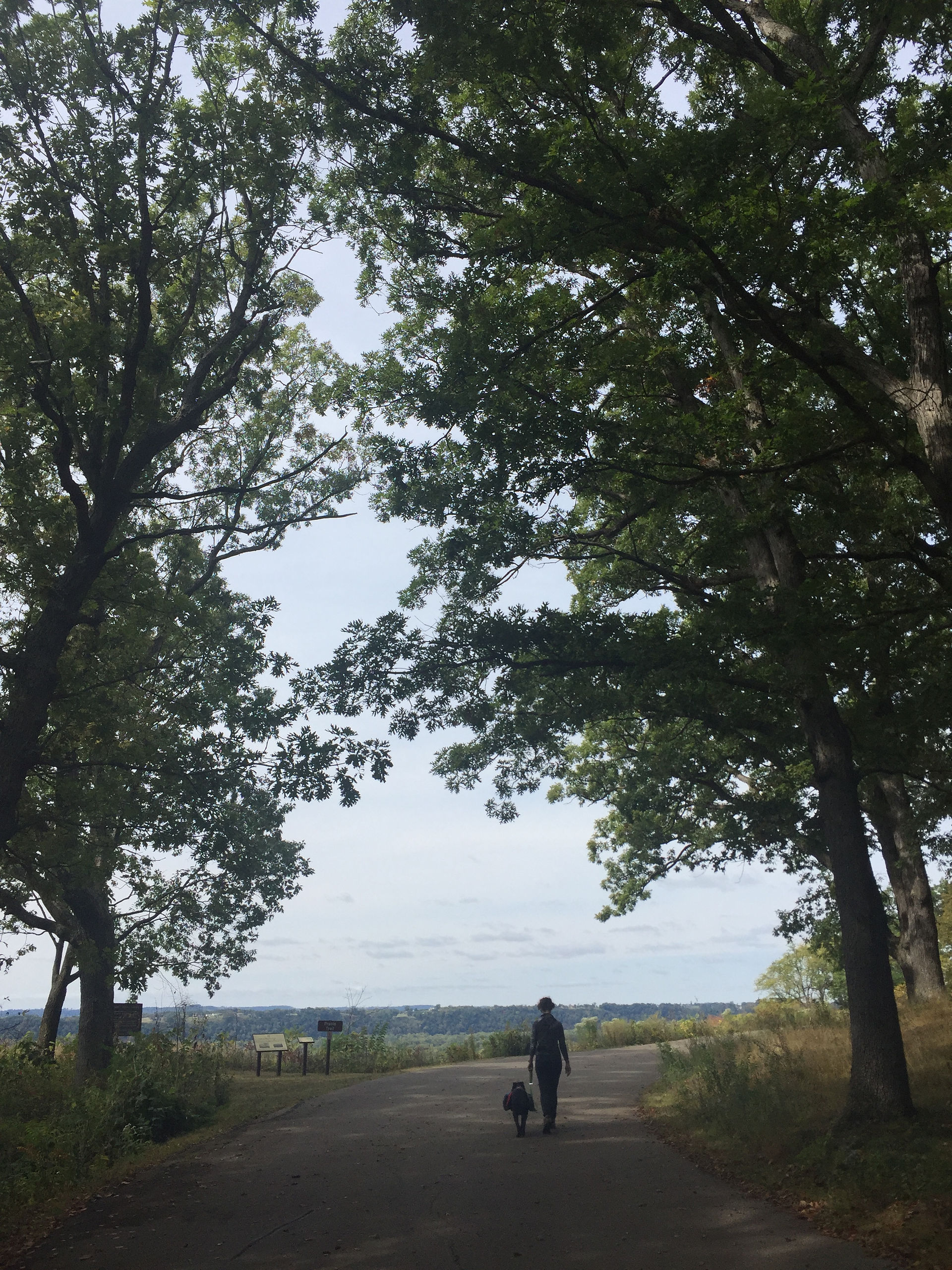 Nelson Dewey State Park