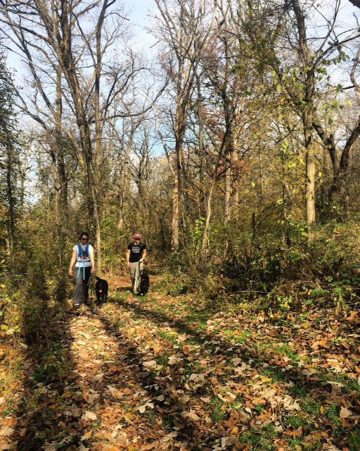 New Glarus Woods State Park