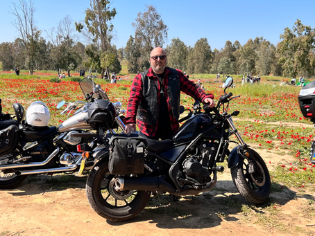 From Traffic Woes to Harley-Davidson Bliss: A Biker's Journey of Freedom and Adventure