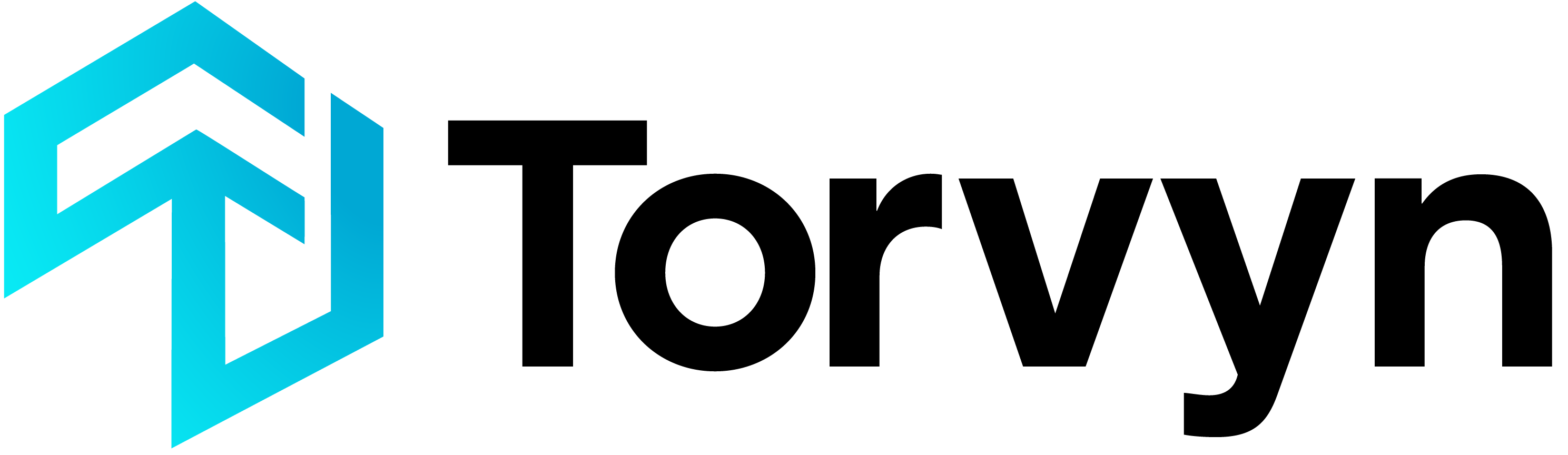 Torvyn_RGB_-logo-fullColor-rgb (1).png