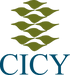 cicy_w_bg-removebg-preview.png