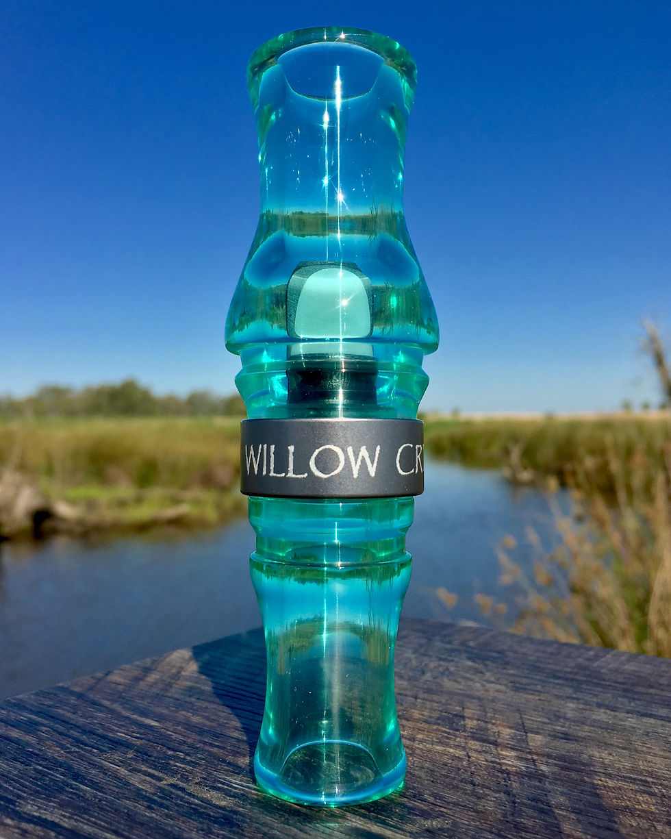 Thumbnail: Pacific Black Brant