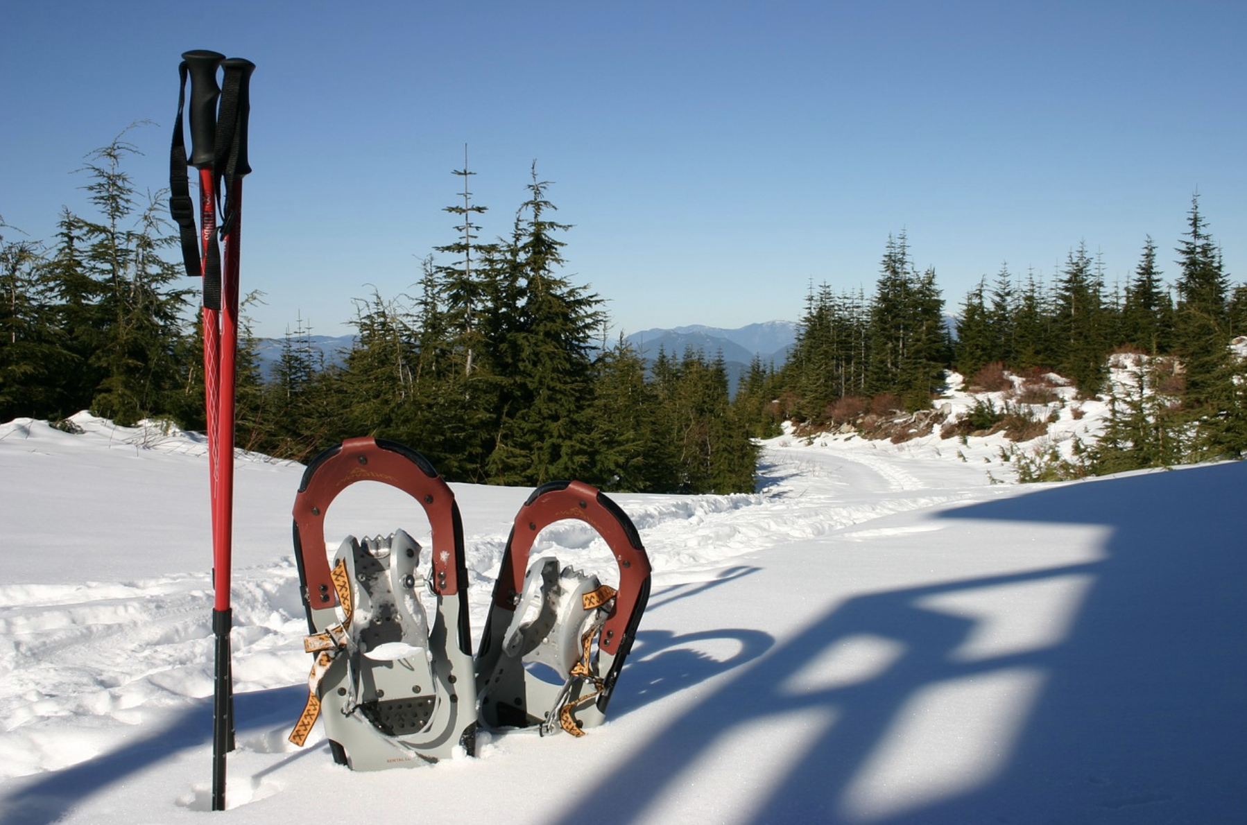 Snow shoes