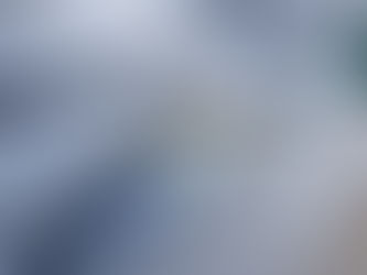 11月15日(土)の釣果です