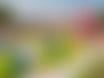 Telehealth and the DEA’s New Rules: It’s Like a Theme Park, but With Fewer Roller Coasters and More Paperwork