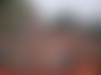 The Blaydon Race 2024