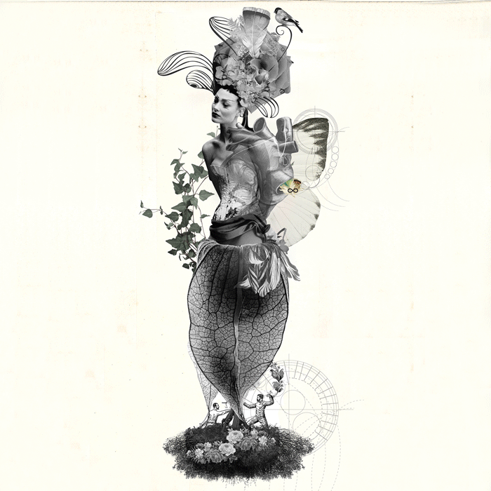 florecimiento3.gif