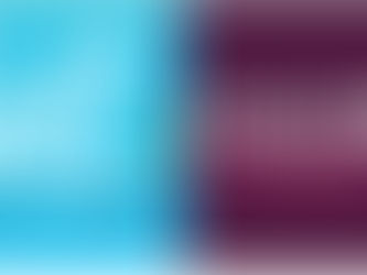 Le Marathon International du Beaujolais VS La Foulée Vénissiane