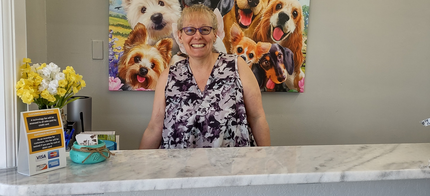 Home Dogtown Grooming