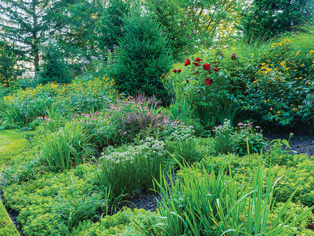 Award Received at Annual Landscape Awards Competition