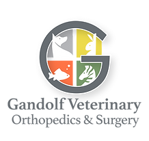 Gandolf2026_Logo-transparent.png