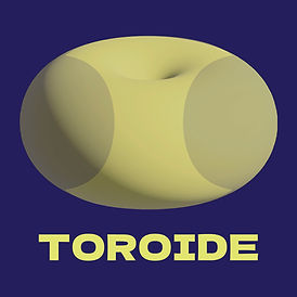 Toroide Astrología tu ser vivo