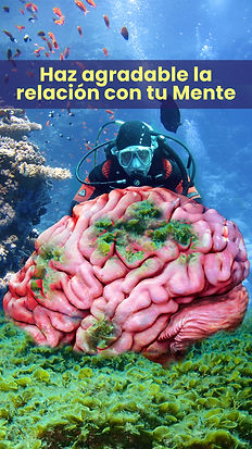 Poster de submarinista encontrando cerebro