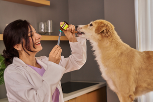 Smiling vet in a white coat feeds a golden dog medicine with a syringe in a cozy clinic room.