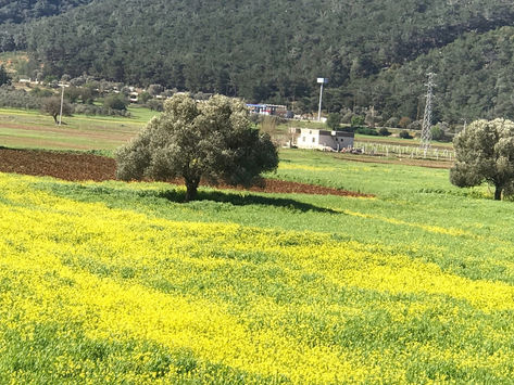 Doğa iyileştirir…