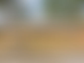 1203 Woodberry Rd, Kinston, NC 28501