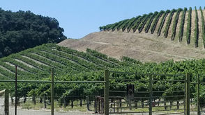 Paso Robles Wine Tasting: A 2-Day Itinerary (Part 1)
