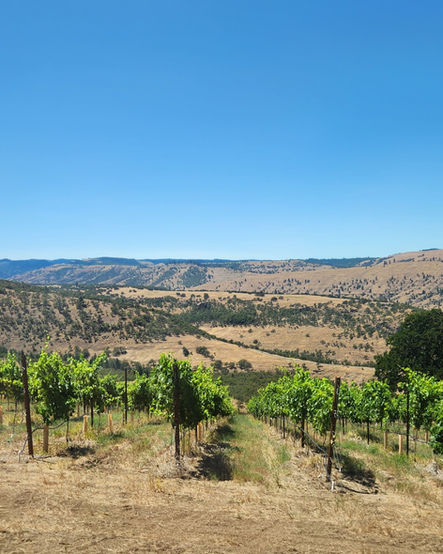 Columbia Gorge wine region