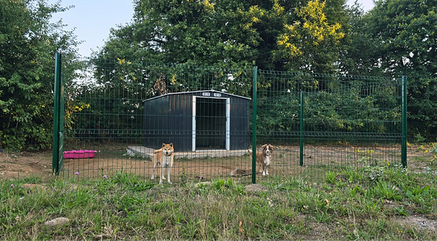 Garde chien Morbihan