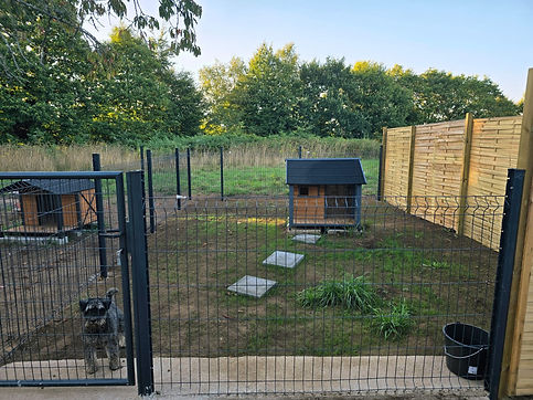 Pension Canine Pontivy