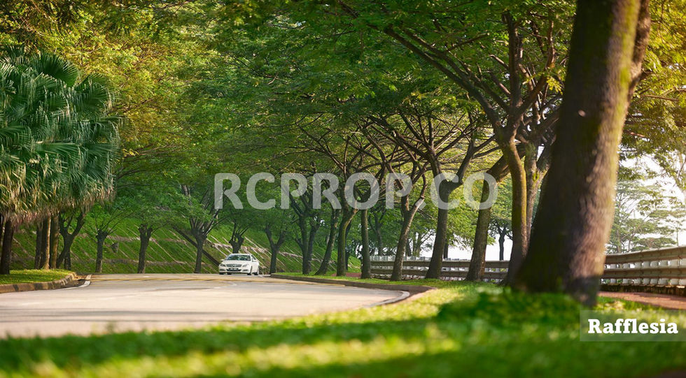 Rafflesia Environment
