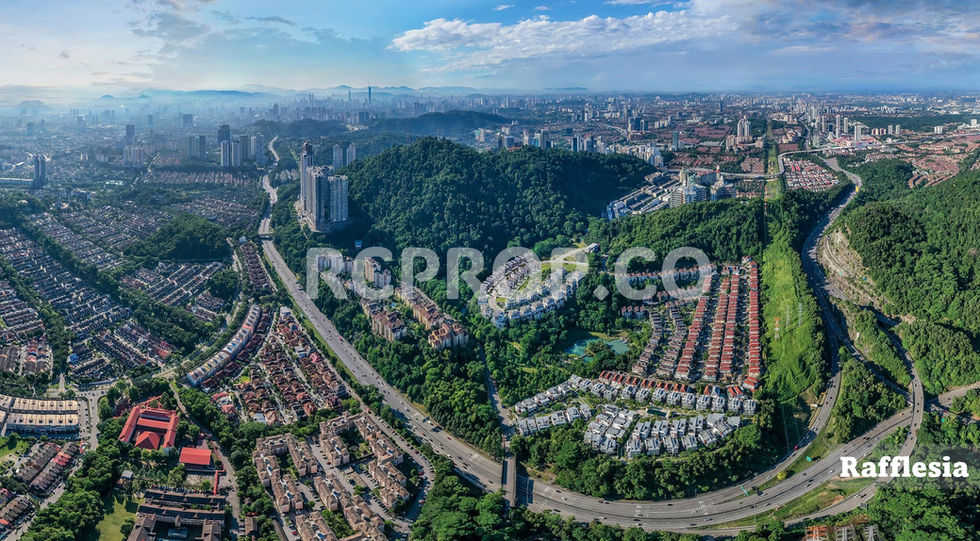 Rafflesia Aerial 1