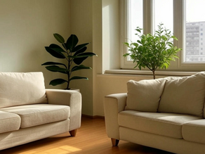 2025 home feng shui trends