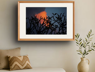 How Photography Brings the Outdoors Into Your Home and Office