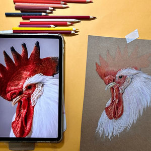 ILUSTRAÇÕES VARIADAS