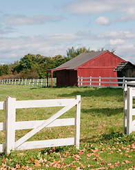 Red Barn