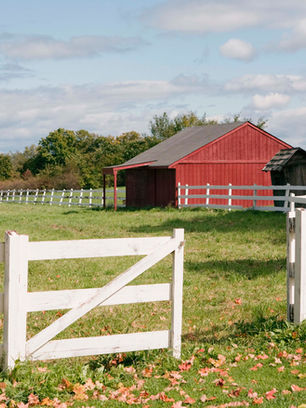 Taking Down a Grain Bin, Quonset, or Old Farm Building? What to Do With the Steel