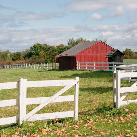 An animal shed in a pasture surrounded by a white fence