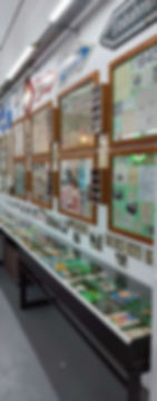 IMG-20240617-WA0015_edited