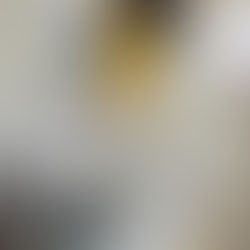 The Grateful Horizons