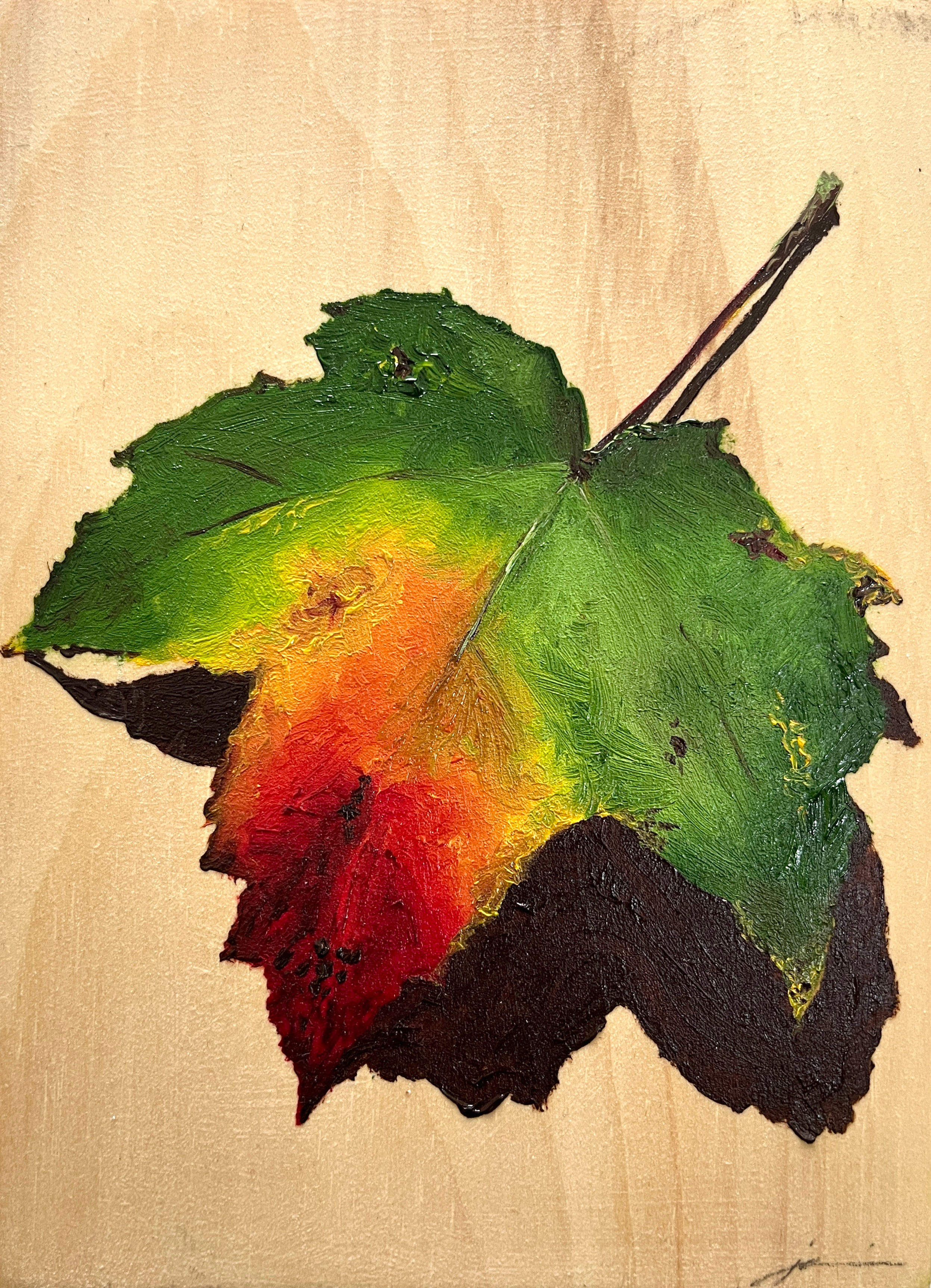 Leaf study