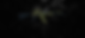 Background-1.png