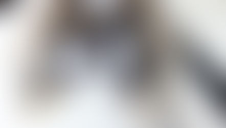 ペキニーズのグルーミング