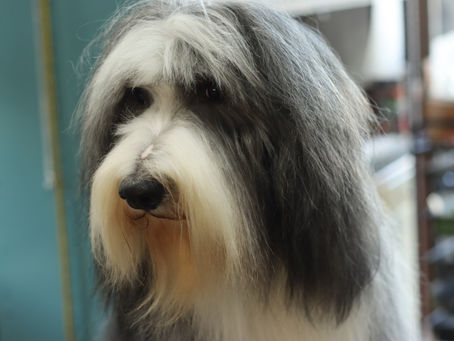 ツルサラヘアー