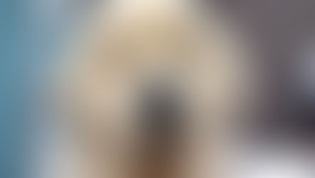 ゴールデンレトリーバーのグルーミング