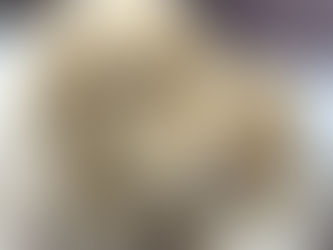 ミニチュアダックスフンドの魅力