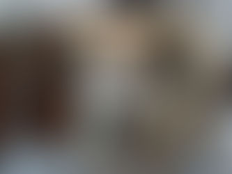 チワックスのコートバリエーション