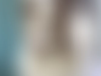 ボーダーコリーらしさ