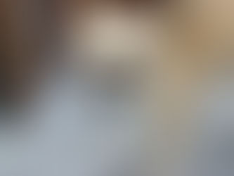 チワワのスムースコートのバリエーション