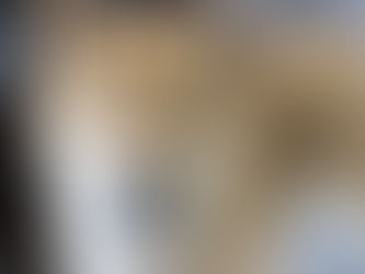 犬の変わらない性格と変わっていく性格