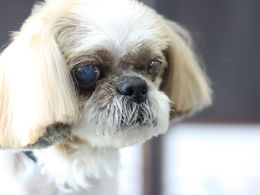 5ミリは5ミリでも