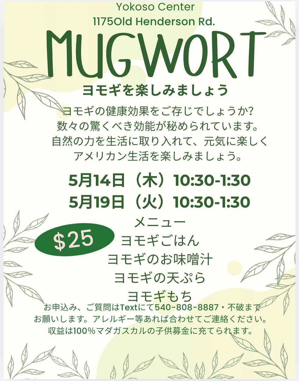 よもぎを楽しみましょう