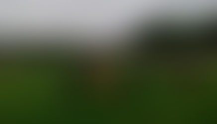 Edzői értékelés MÉNFŐCSANAK ESK - III. KER. TVE 0 - 0 (0 - 0)